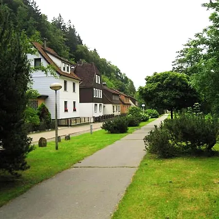 Holiday home Spacious Group House In The Harz Region Zorge