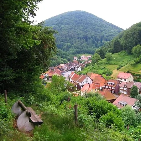 Spacious Group House In The Harz Region *