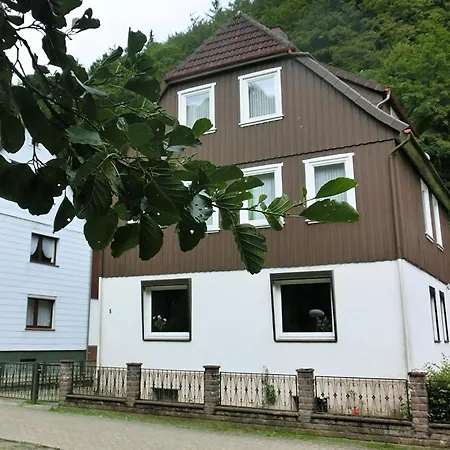 Dom wakacyjny Spacious Group House In The Harz Region