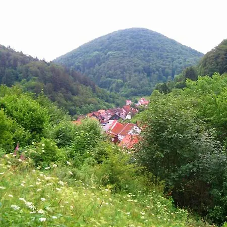 Dom wakacyjny Spacious Group House In The Harz Region *